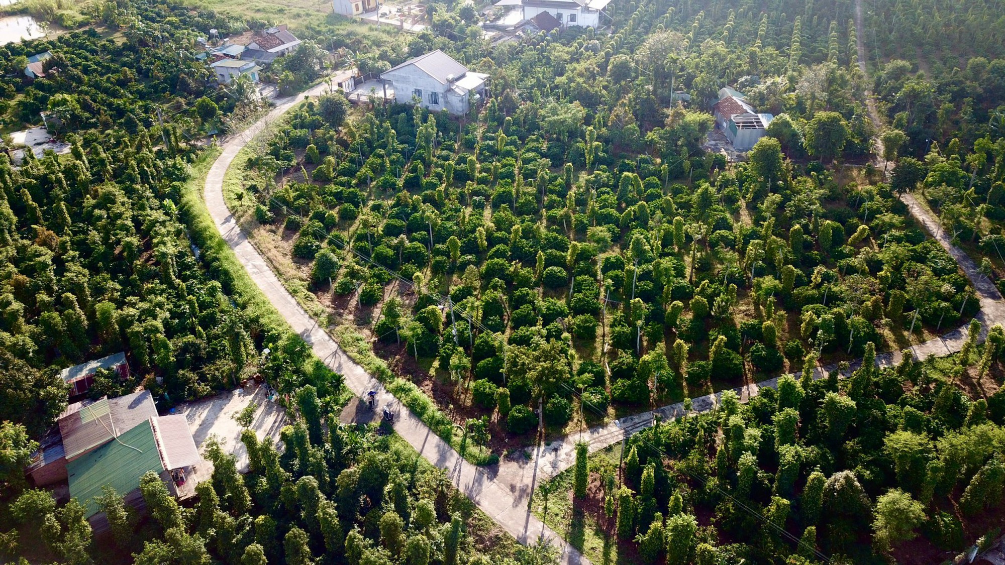 Đắk Nông: Giao thông &quot;mở toang cánh cửa&quot; kết nối, phát triển kinh tế vùng nông thôn - Ảnh 2.