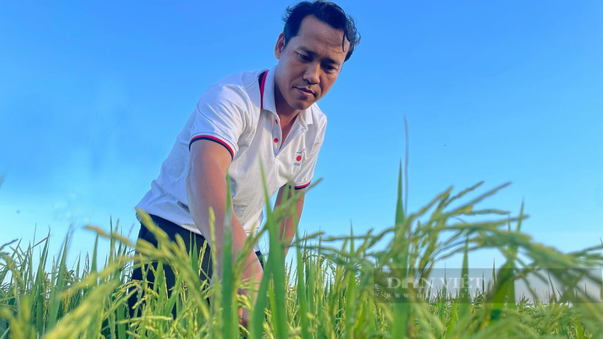 Nông dân trồng lúa hữu cơ ở Bình Thuận gửi những tâm tư đến Đại hội VIII Hội Nông dân Việt Nam  - Ảnh 1.