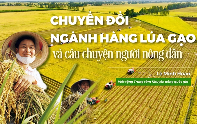 Bộ trưởng Lê Minh Hoan viết cho Khuyến nông Việt Nam: Chuyển đổi ngành hàng lúa gạo và câu chuyện người nông dân - Ảnh 1.