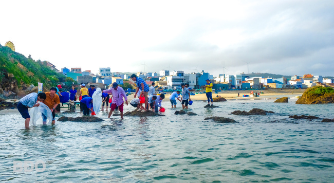 Ở một bãi biển có rạn san hô rộng 4,5ha ở Bình Định, ngành chức năng vừa thả 10.000 con cá chẽm - Ảnh 1.