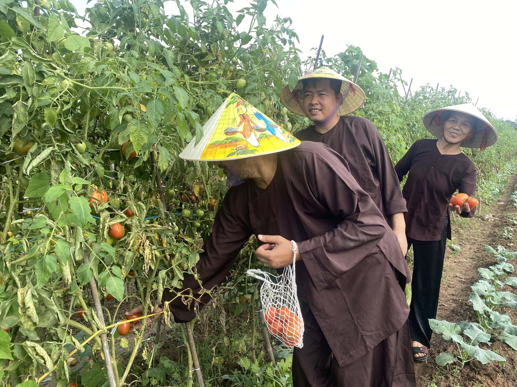 Hà Nội: Ra mắt mô hình du lịch nông nghiệp gắn với cộng đồng - Ảnh 3.