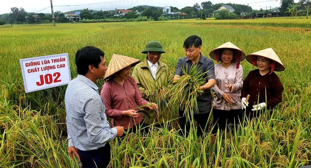 Bộ trưởng Lê Minh Hoan viết cho Khuyến nông Việt Nam: Chuyển đổi ngành hàng lúa gạo và câu chuyện người nông dân - Ảnh 2.