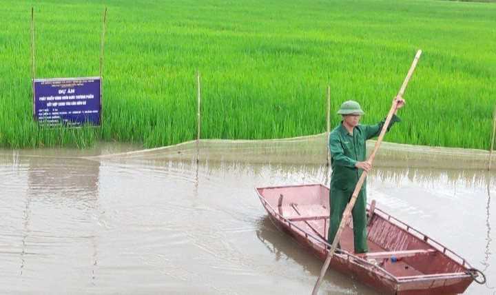 Quảng Ninh tập trung phát triển 4 nhóm sản phẩm nông nghiệp hữu cơ đến năm 2030 - Ảnh 1.