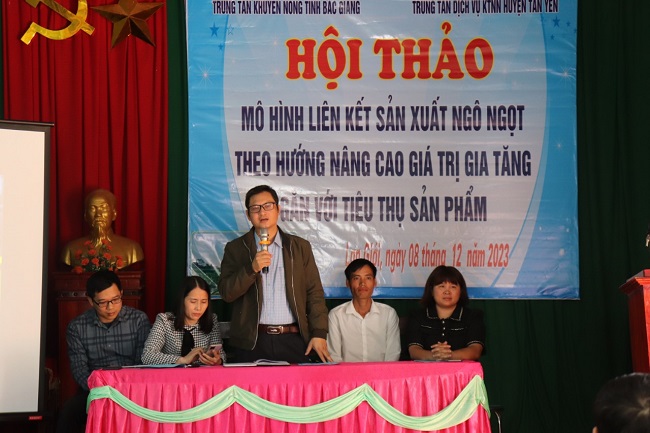 Liên kết trồng ngô ngọt, nông dân Bắc Giang được hỗ trợ phân bón, thuê máy bay không người lái  - Ảnh 1.