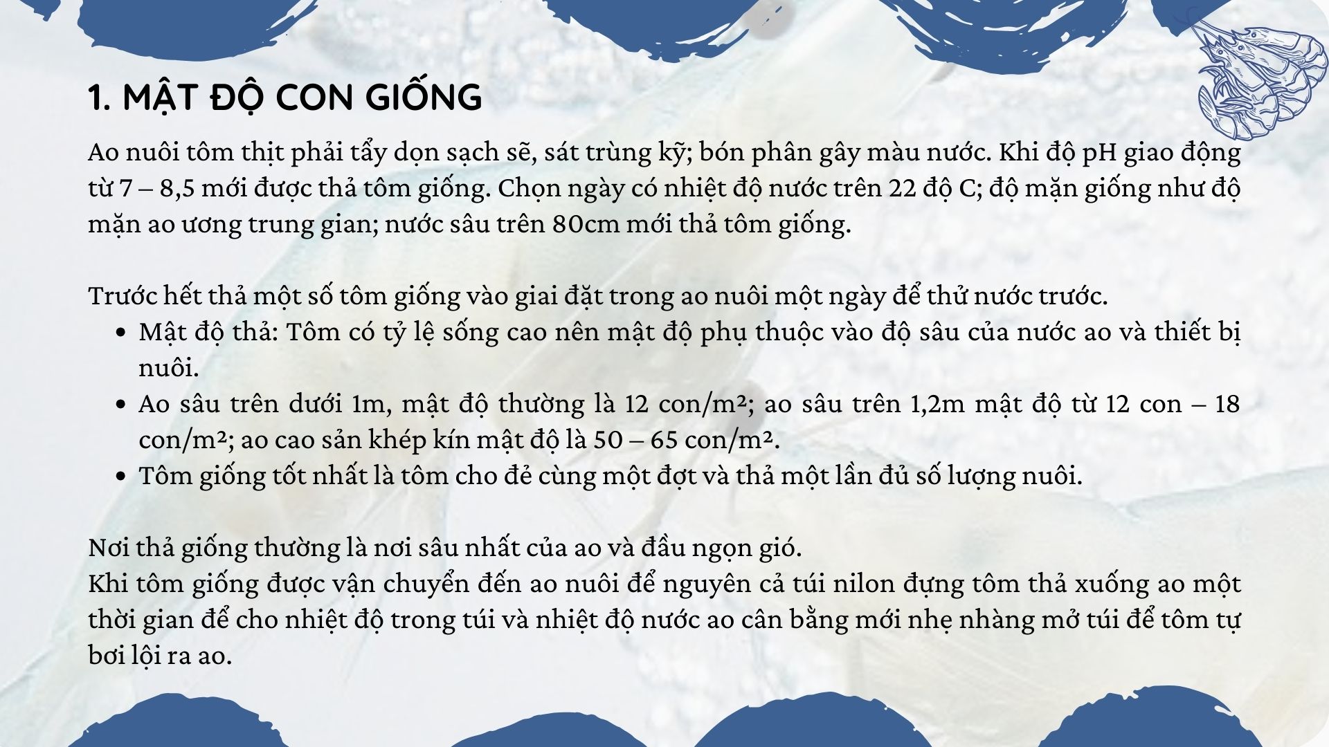 SỔ TAY NHÀ NÔNG: Kỹ thuật nuôi tôm thẻ chân trắng cho năng suất cao - Ảnh 1.