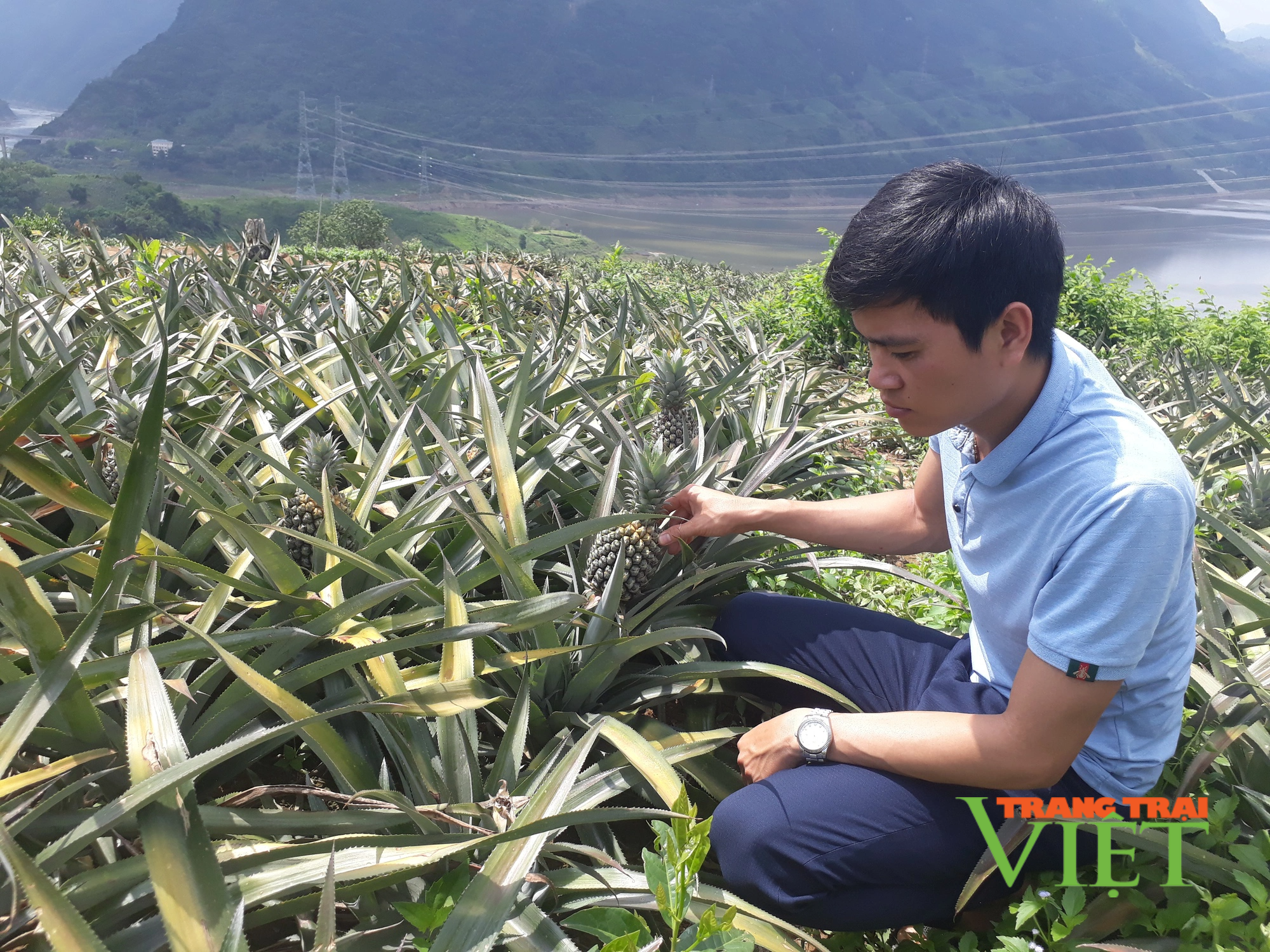 Lai Châu: Hỗ trợ nông dân chuyển đổi cơ cấu cây trồng vật nuôi, xây dựng nông thôn mới - Ảnh 3.