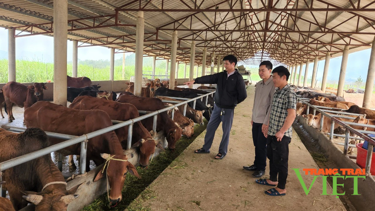 Lai Châu: Hỗ trợ nông dân chuyển đổi cơ cấu cây trồng vật nuôi, xây dựng nông thôn mới - Ảnh 4.