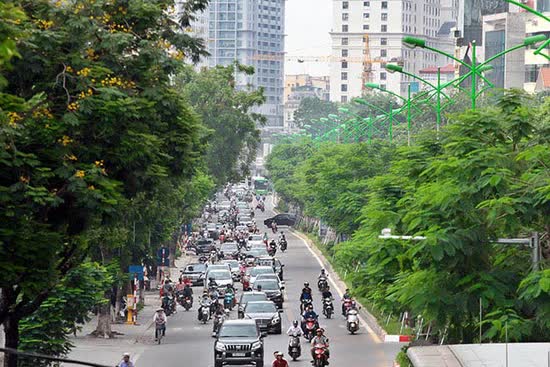 Hà Nội trồng thêm 250.000 cây xanh năm 2024  - Ảnh 1.