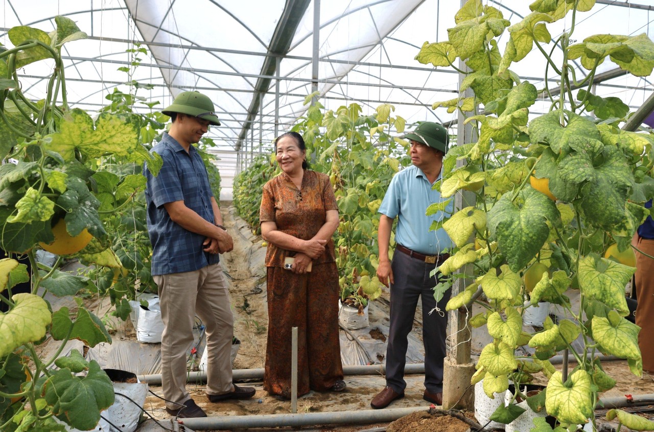 Hội Nông dân tỉnh Ninh Bình-Hà Nam trao đổi kinh nghiệm công tác Hội và phong trào nông dân - Ảnh 1.