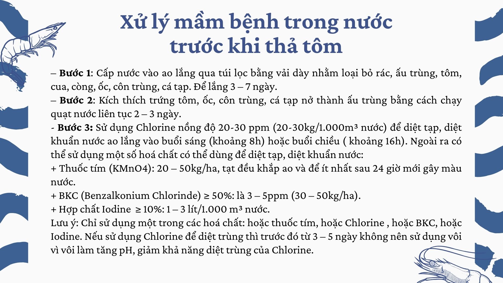 SỔ TAY NHÀ NÔNG: Quy trình xử lý nước trước khi nuôi tôm thẻ chân trắng - Ảnh 3.