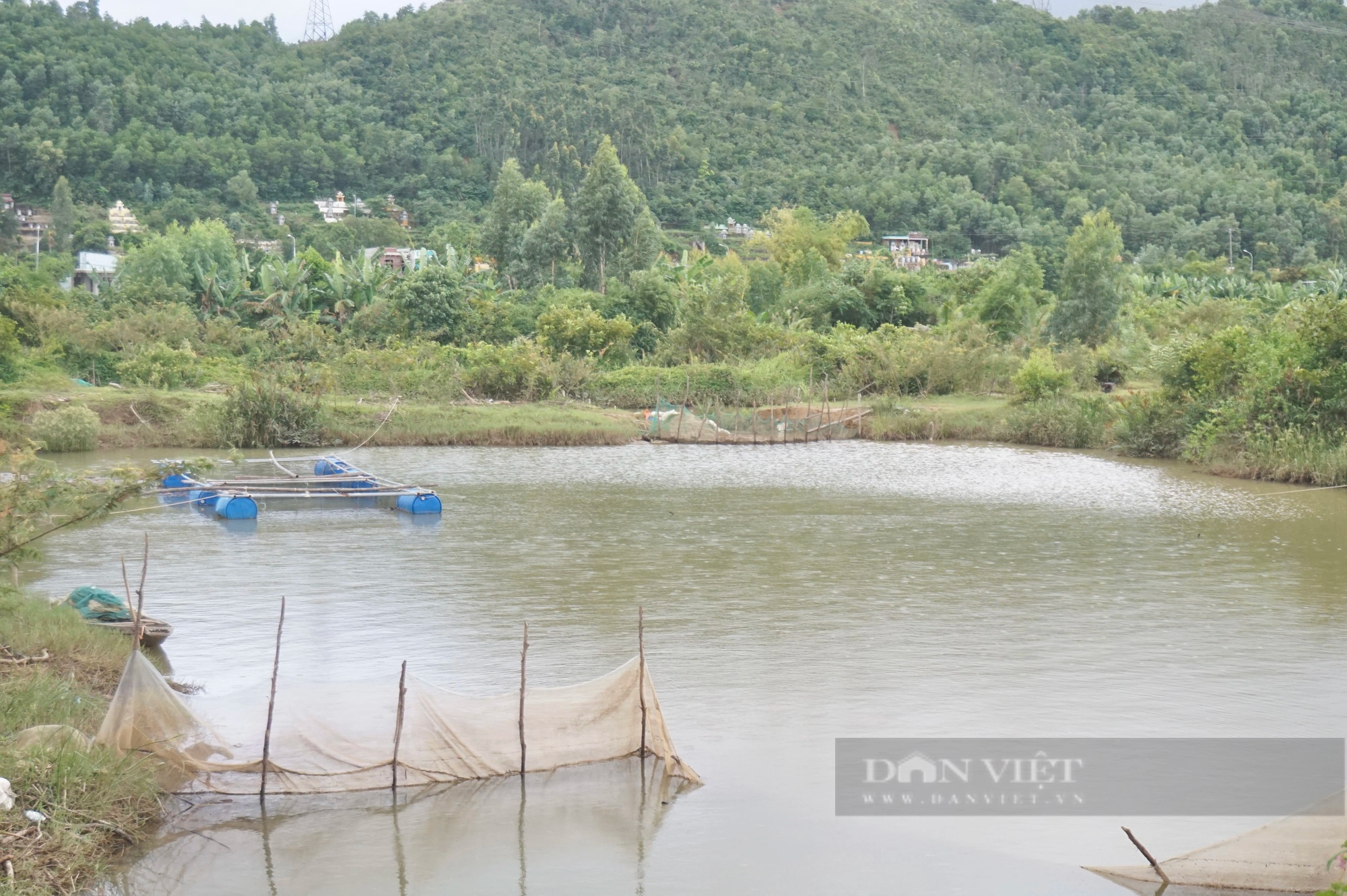 Anh nông dân Đà Nẵng nuôi “thập cẩm” những con gì mà lãi hàng trăm triệu/năm?- Ảnh 3.