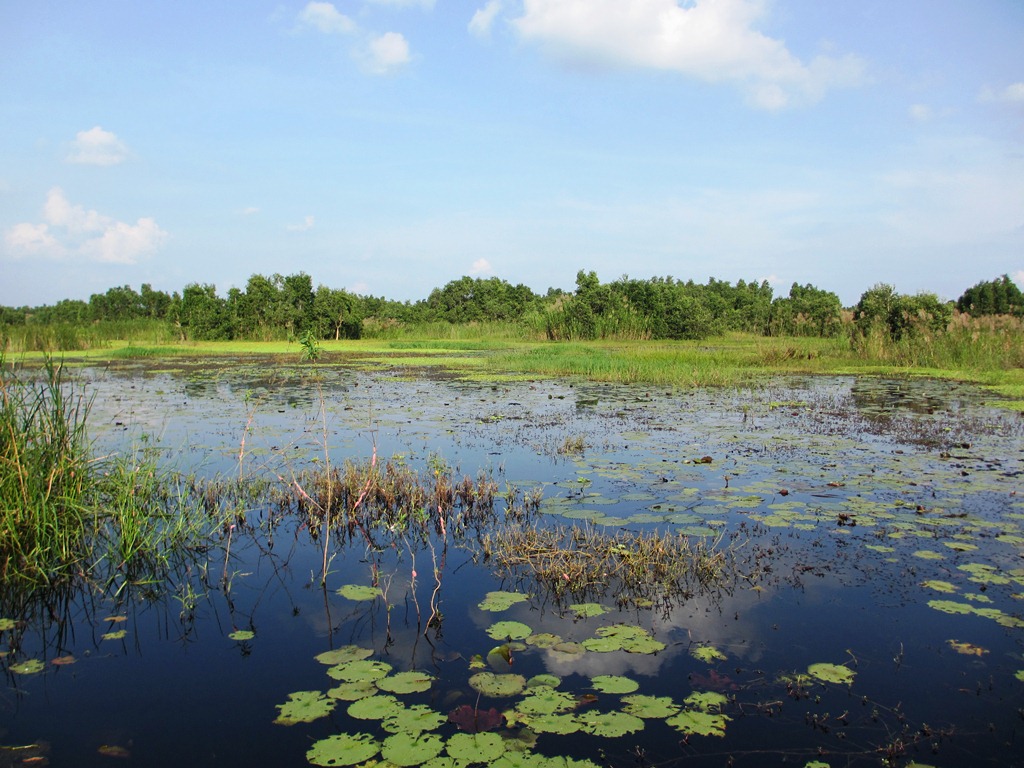 Một hồ nước ngọt mênh mông giữa khu rừng già Bình Thuận hoang sơ, cá tôm vô số, đẹp như phim - Ảnh 1.