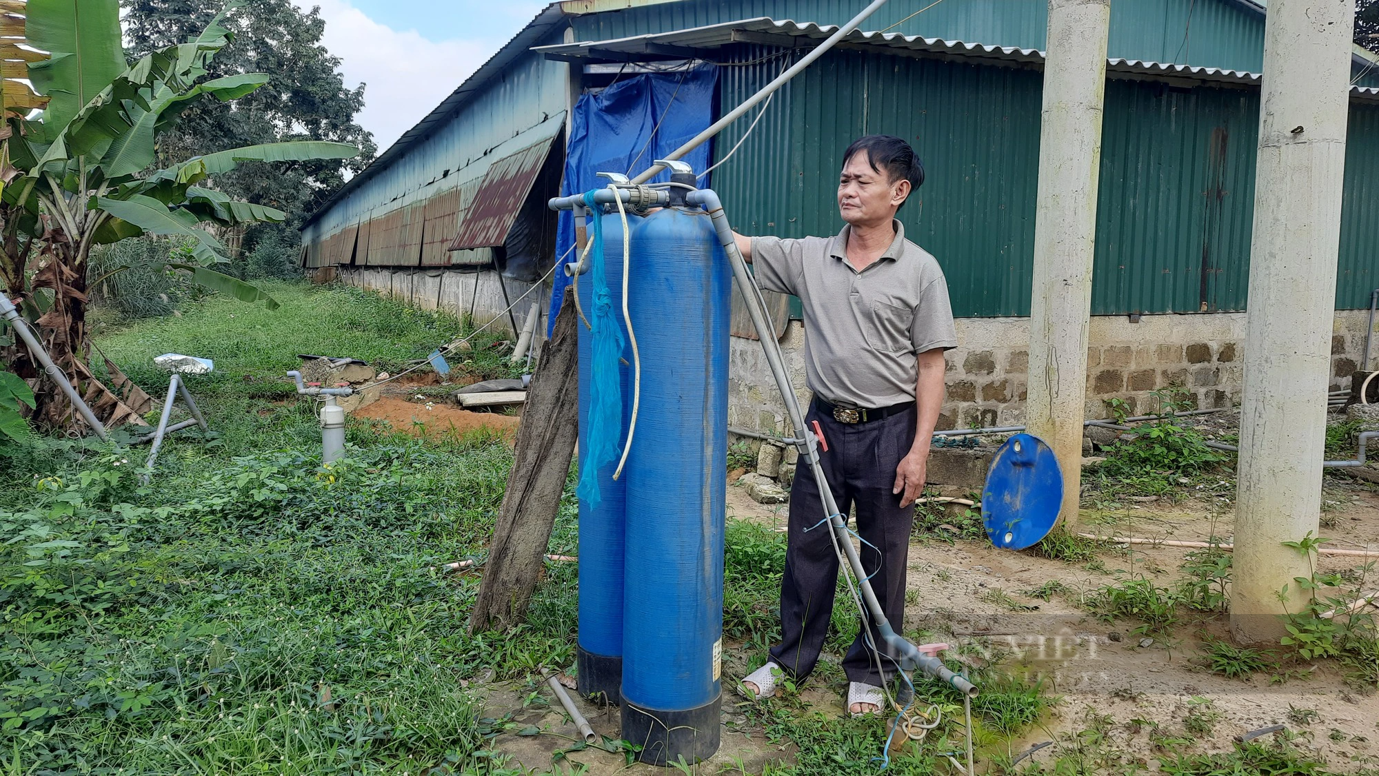 Nuôi gà gia công, nông dân Quảng Trị thu nhập hàng trăm triệu đồng mỗi năm - Ảnh 2.