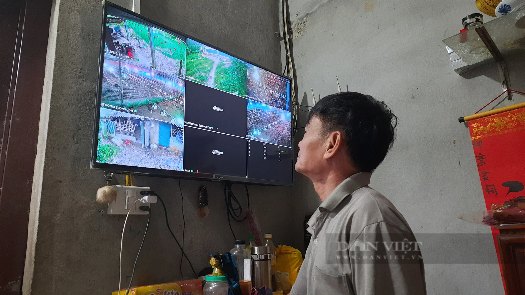 Nuôi gà gia công, nông dân Quảng Trị thu nhập hàng trăm triệu đồng mỗi năm - Ảnh 5.