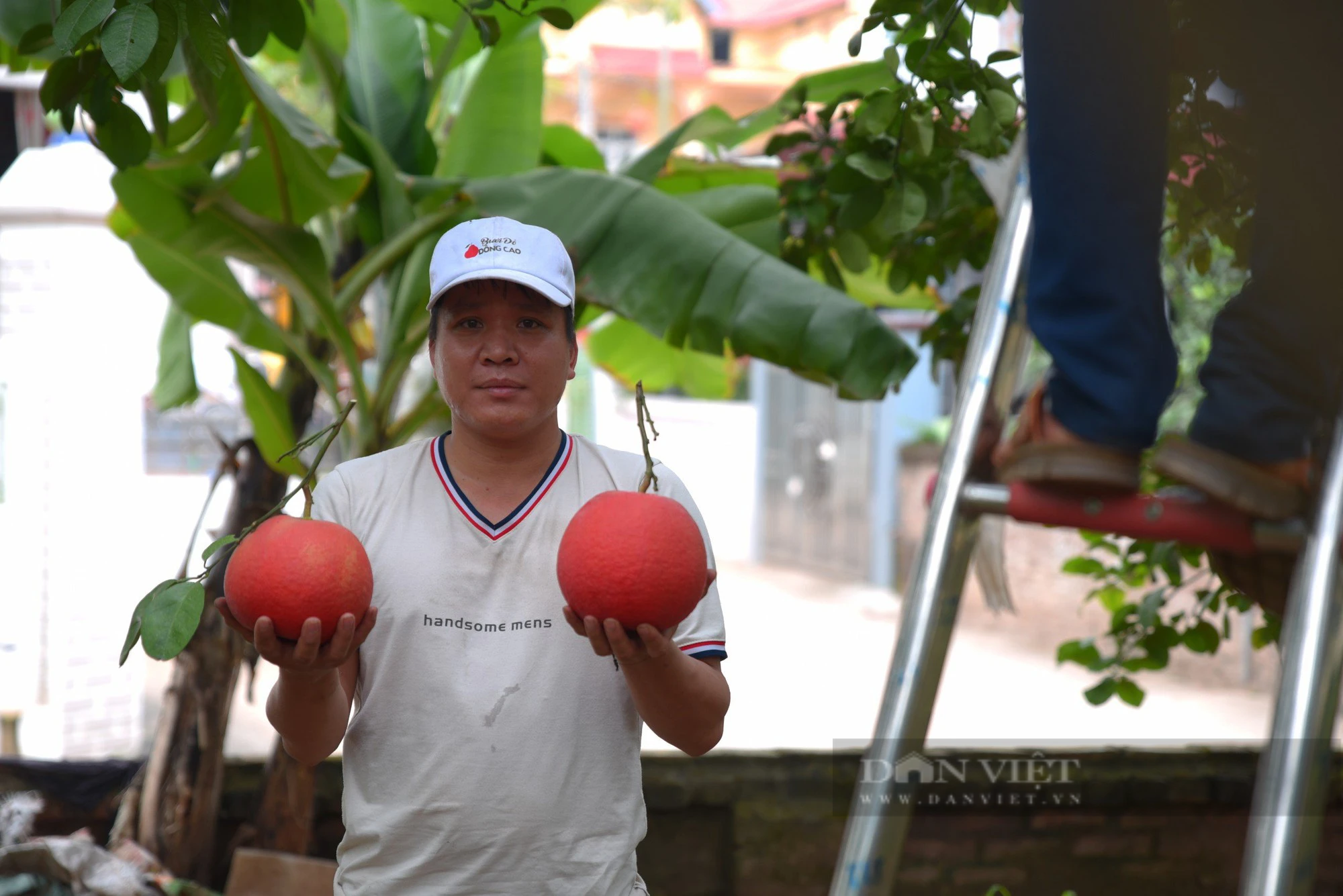 Hà Nội: &quot;Thủ phủ&quot; bưởi đỏ độc nhất Hà Nội &quot;cháy hàng&quot; trước Tết - Ảnh 8.