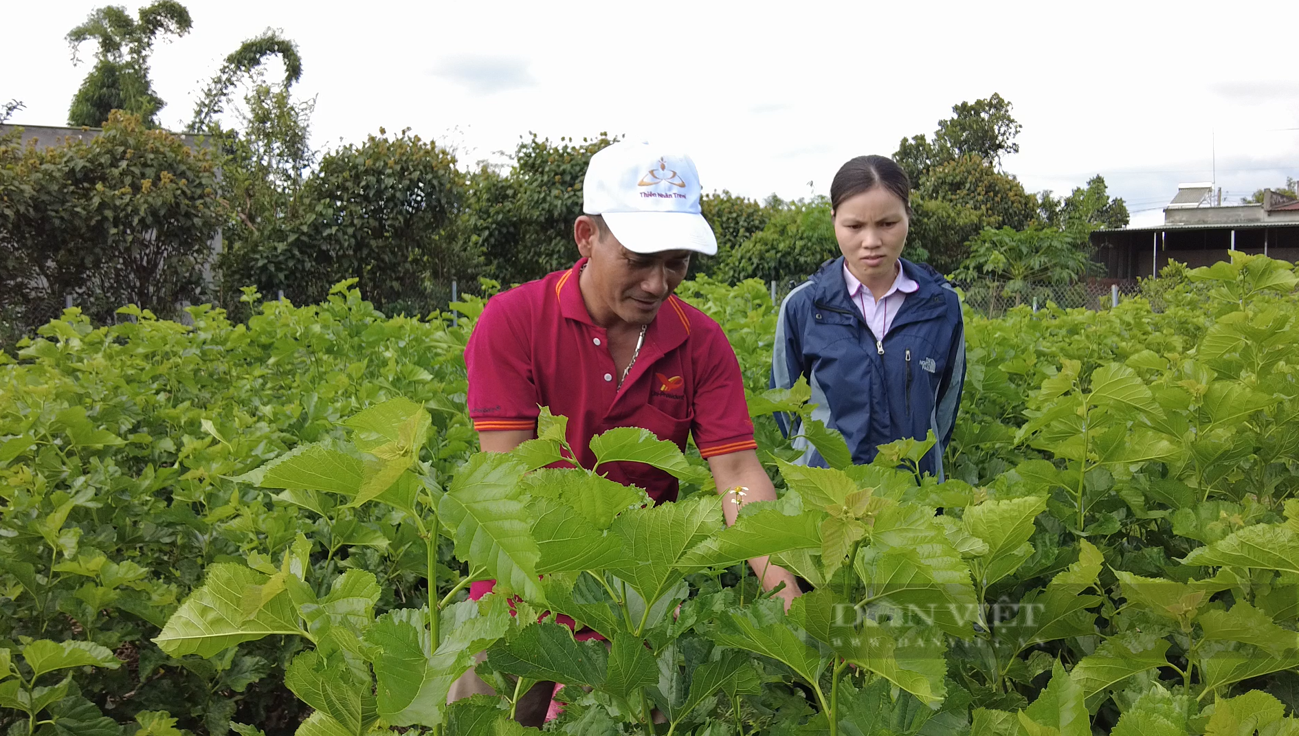 Hội viên, nông dân Lâm Đồng mong muốn có nhiều lớp tập huấn, chuyển giao khoa học kỹ thuật - Ảnh 2.