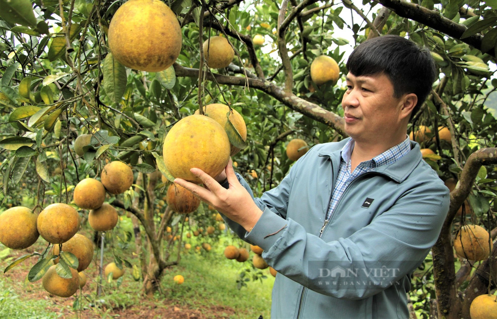 Xây dựng nông thôn mới ở Nghệ An: Làng quê đổi thay, huyện có thị trấn chuẩn đô thị thông minh - Ảnh 7.