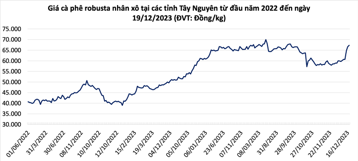 Vì sao giá cà phê tăng phi mã ngay trong mùa thu hoạch? - Ảnh 1.