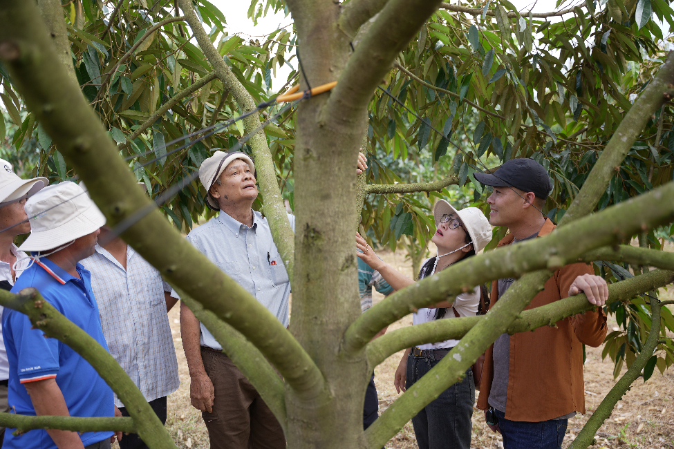 Hợp tác công tư tại Đắk Nông: Nâng tầm chất lượng xuất khẩu cho sầu riêng Việt - Ảnh 2.