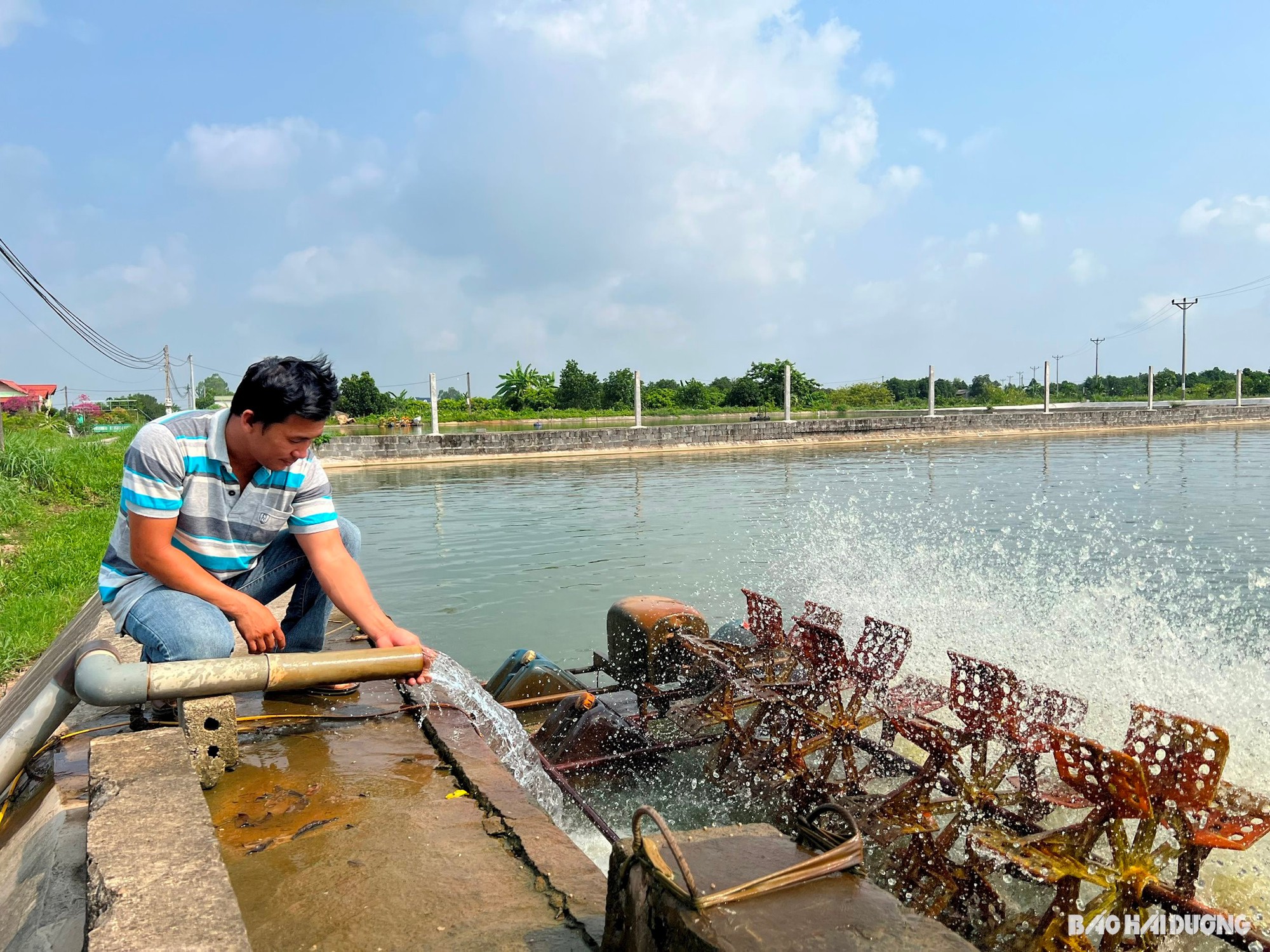  Nuôi loài cá có thịt giòn, thơm ngọt, bán toàn trên 100.000 đồng/kg, nông dân Hải Dương lãi 'khủng' - Ảnh 2.