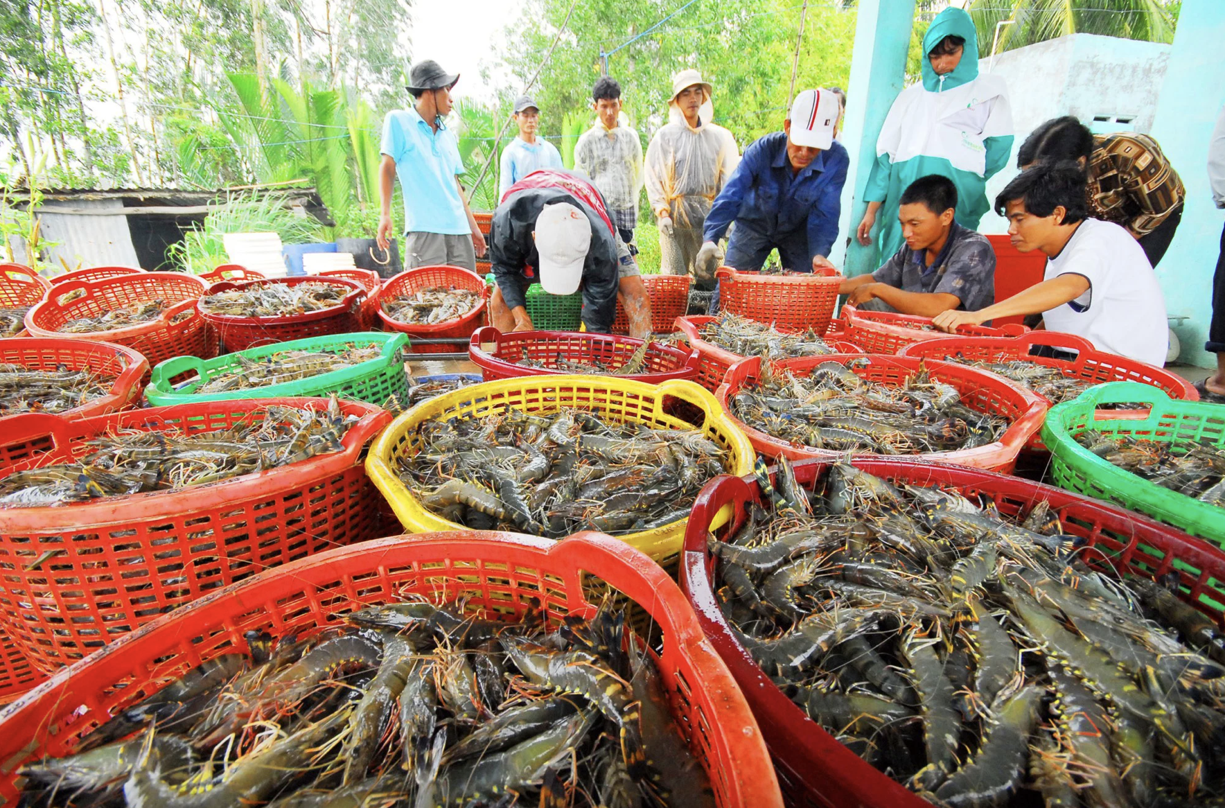 Công nhận Việt Nam là nền &quot;kinh tế thị trường&quot; giúp doanh nghiệp có lợi như nào trong các vụ kiện phòng vệ thương mại? - Ảnh 1.