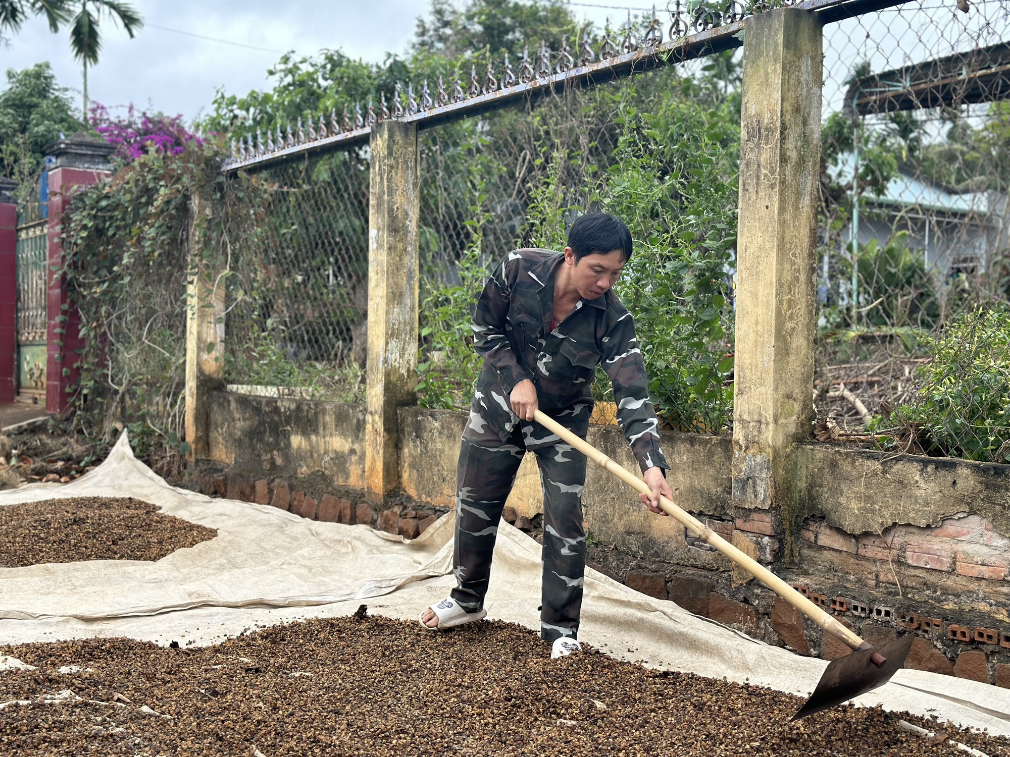 Diện mạo mới ở vùng &quot;đất lửa&quot; Krông Nô - Ảnh 5.