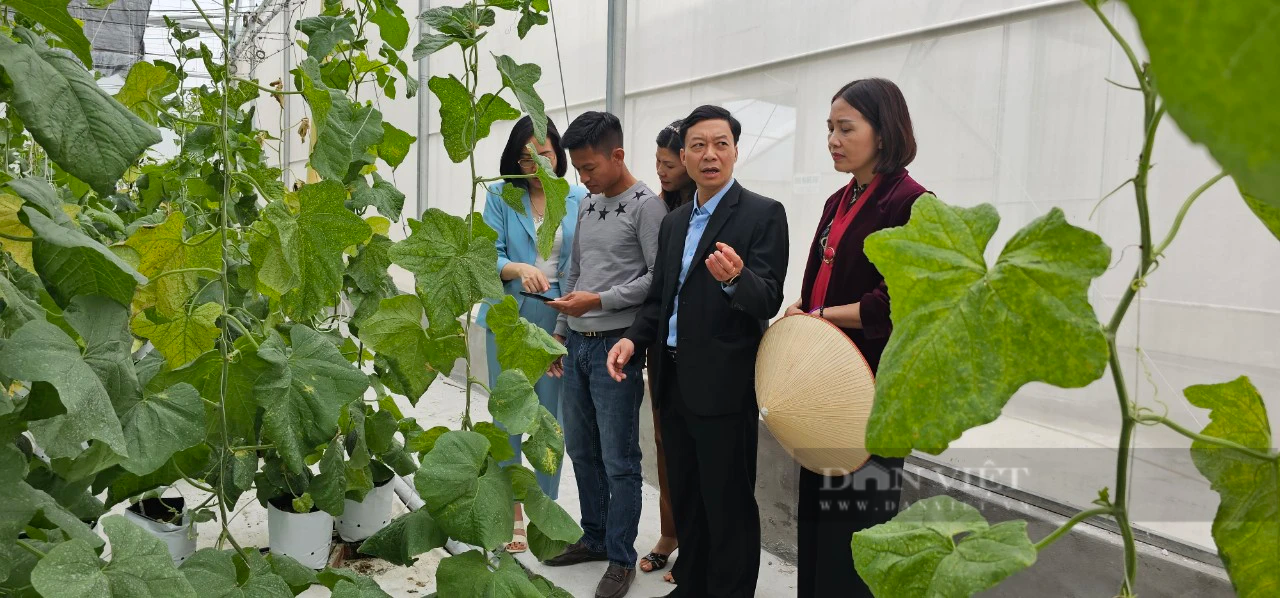 Hội Nông dân tỉnh Bắc Giang là nòng cốt trong phát triển nông nghiệp hàng hóa, nâng cao chất lượng sản phẩm OCOP - Ảnh 3.