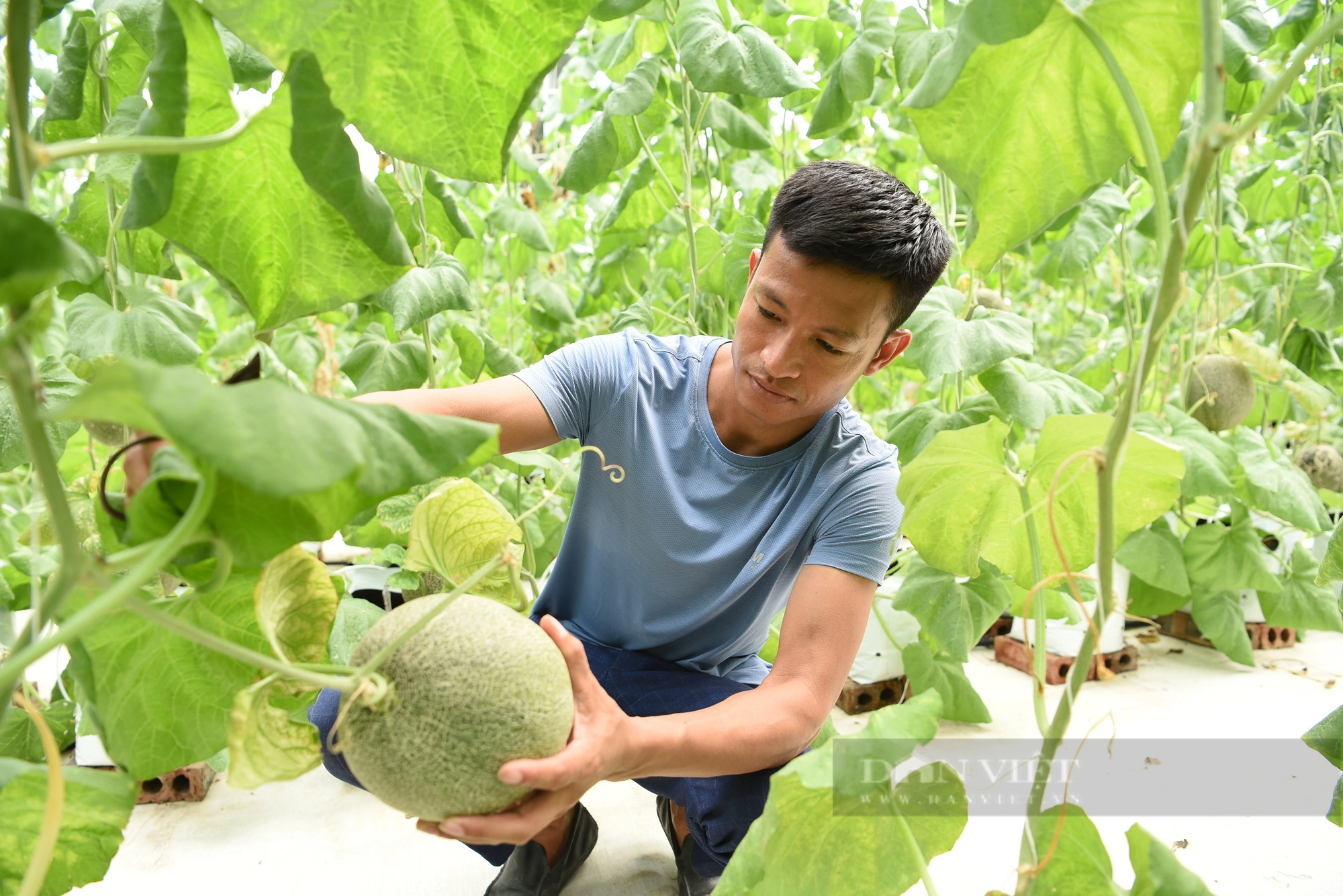 Hội Nông dân tỉnh Bắc Giang là nòng cốt trong phát triển nông nghiệp hàng hóa, nâng cao chất lượng sản phẩm OCOP - Ảnh 4.