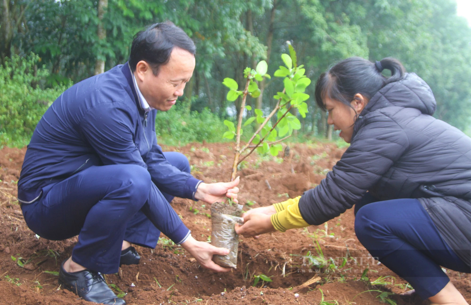 Loại quả giòn, ngon, ngọt được theo hướng an toàn sinh học dân xã này nói có bao nhiêu cũng bán hết - Ảnh 5.