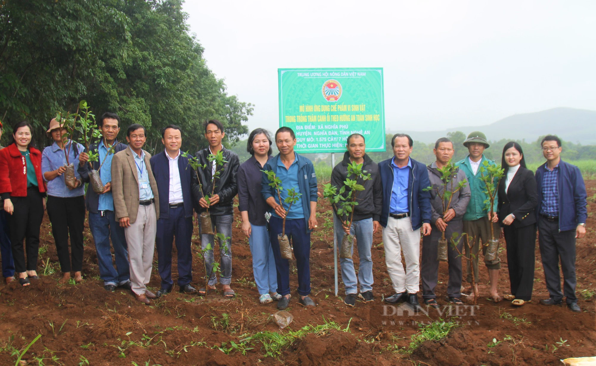 Loại quả giòn, ngon, ngọt được theo hướng an toàn sinh học dân xã này nói có bao nhiêu cũng bán hết - Ảnh 7.