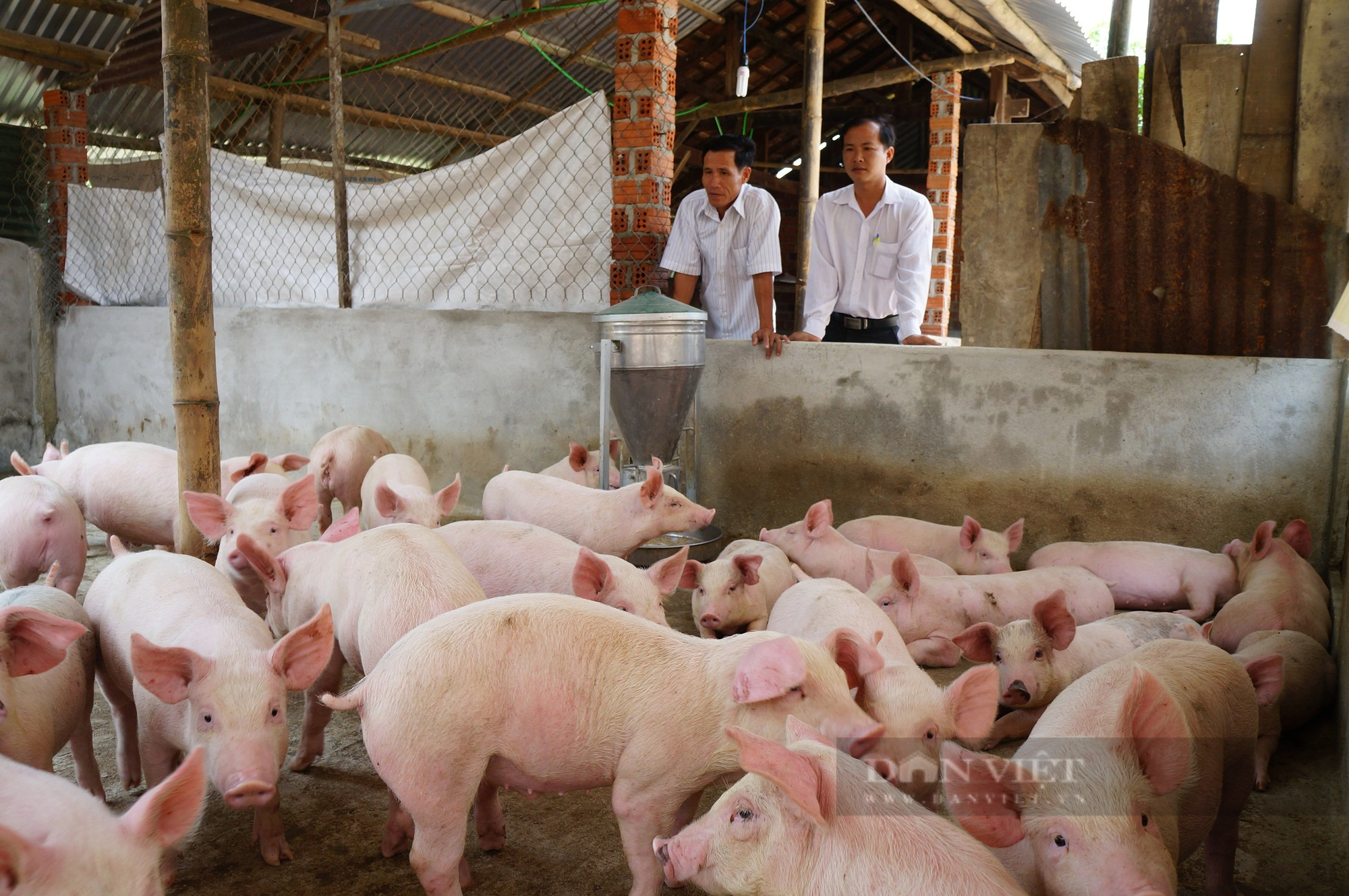 Hội Nông dân Quảng Nam nêu ra từng nhiệm vụ, chỉ tiêu để giúp nông dân nhiều mô hình hay, thu nhập cao - Ảnh 4.