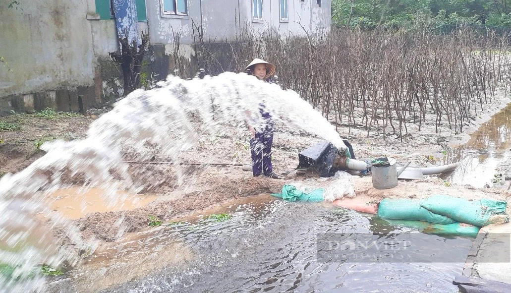 Lũ lên nhanh, nông dân Quảng Bình hối hả bơm nước cứu hoa Tết - Ảnh 3.