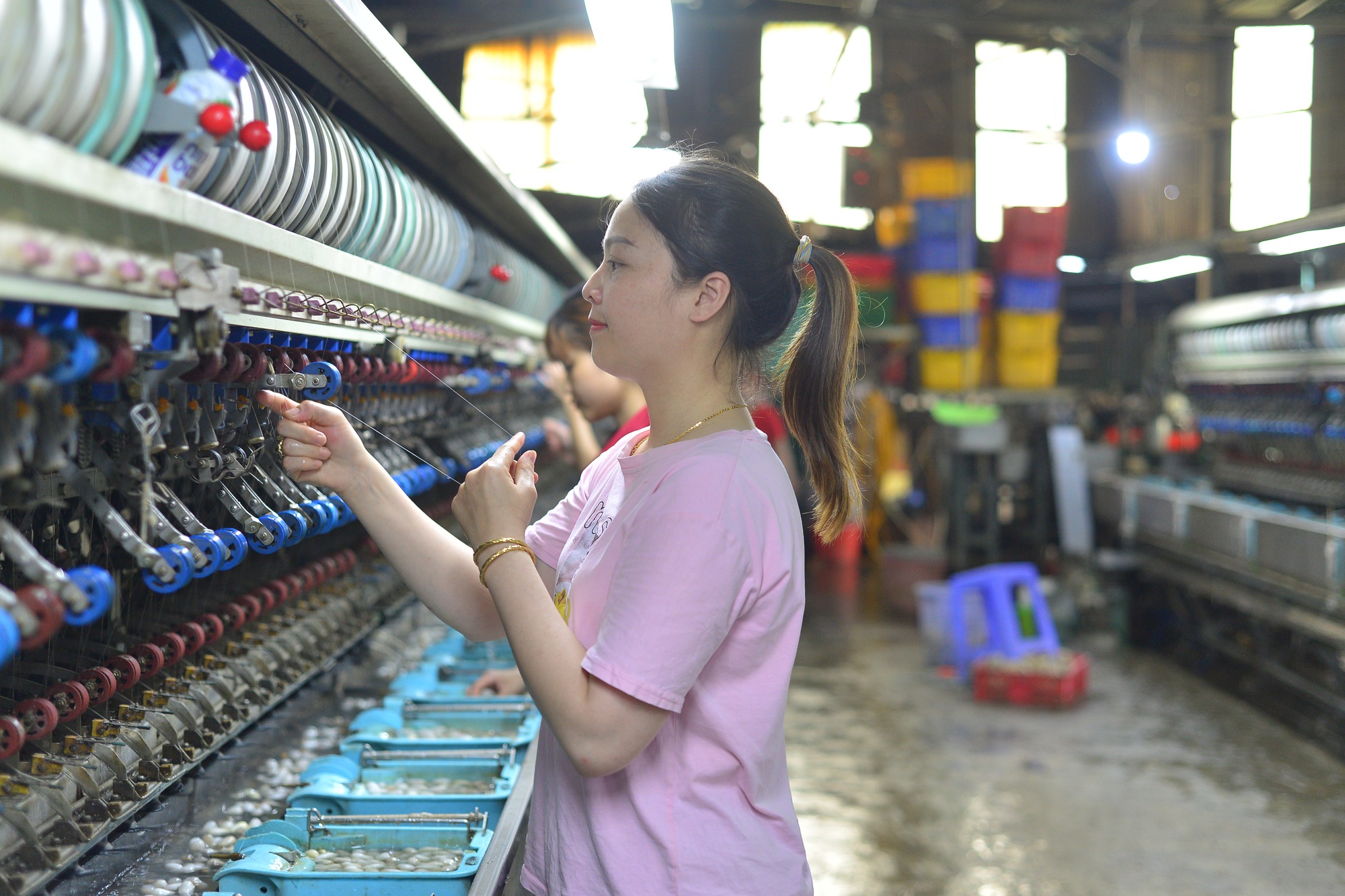 Ngành nông nghiệp Việt Nam bàn cách phát triển ngành dâu tằm tơ bền vững - Ảnh 2.