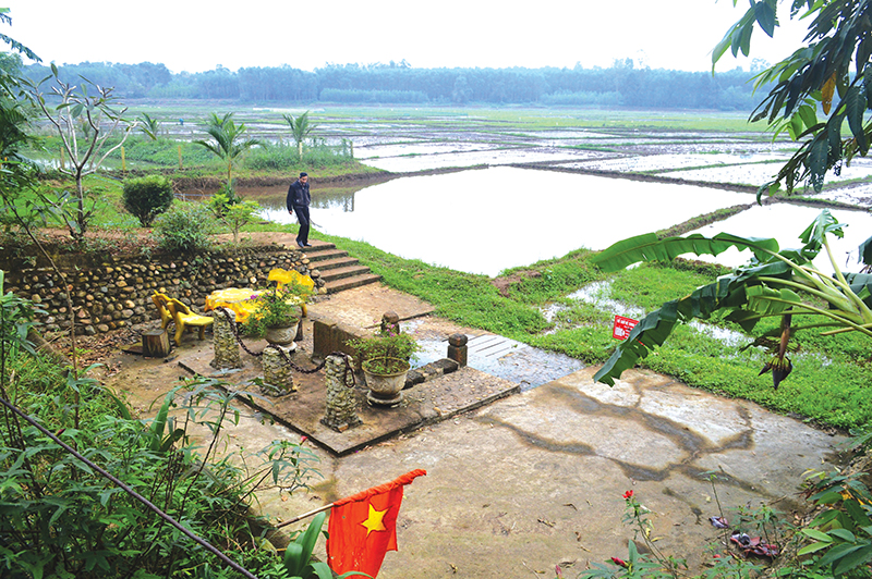 Giếng cổ Champa ở Quảng Trị chứa bí ẩn về cách người Chăm cổ tìm mạch nước, nước vẫn tuôn, rau vẫn xanh - Ảnh 2.