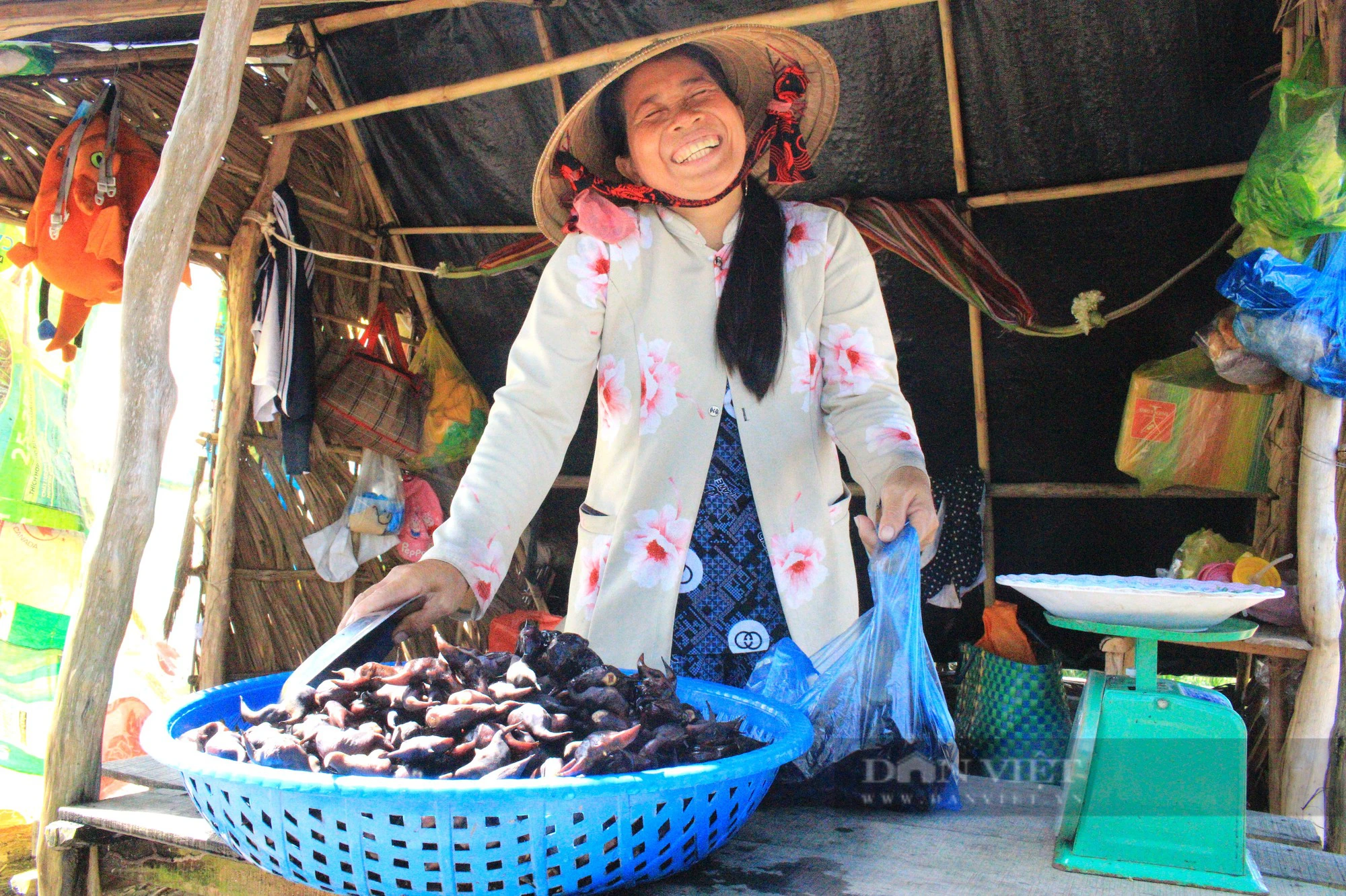 Ở Kiên Giang, nông dân trồng thứ cây ra quả gọi là củ, ăn ngọt bùi, bất ngờ cho lãi gấp đôi- Ảnh 6.