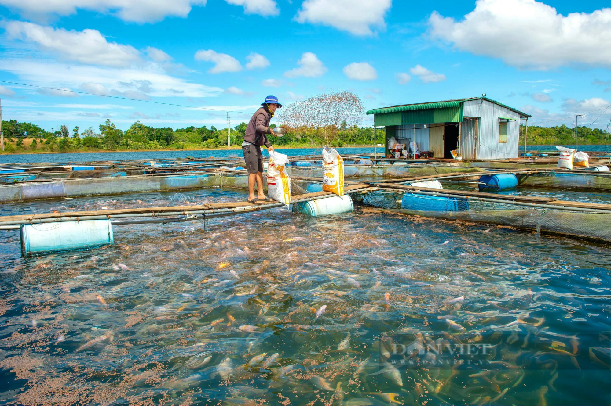 Xây dựng nông thôn mới ở Đắk Nông: Chủ động, sáng tạo, linh hoạt trong các tiêu chí xây dựng NTM - Ảnh 1.