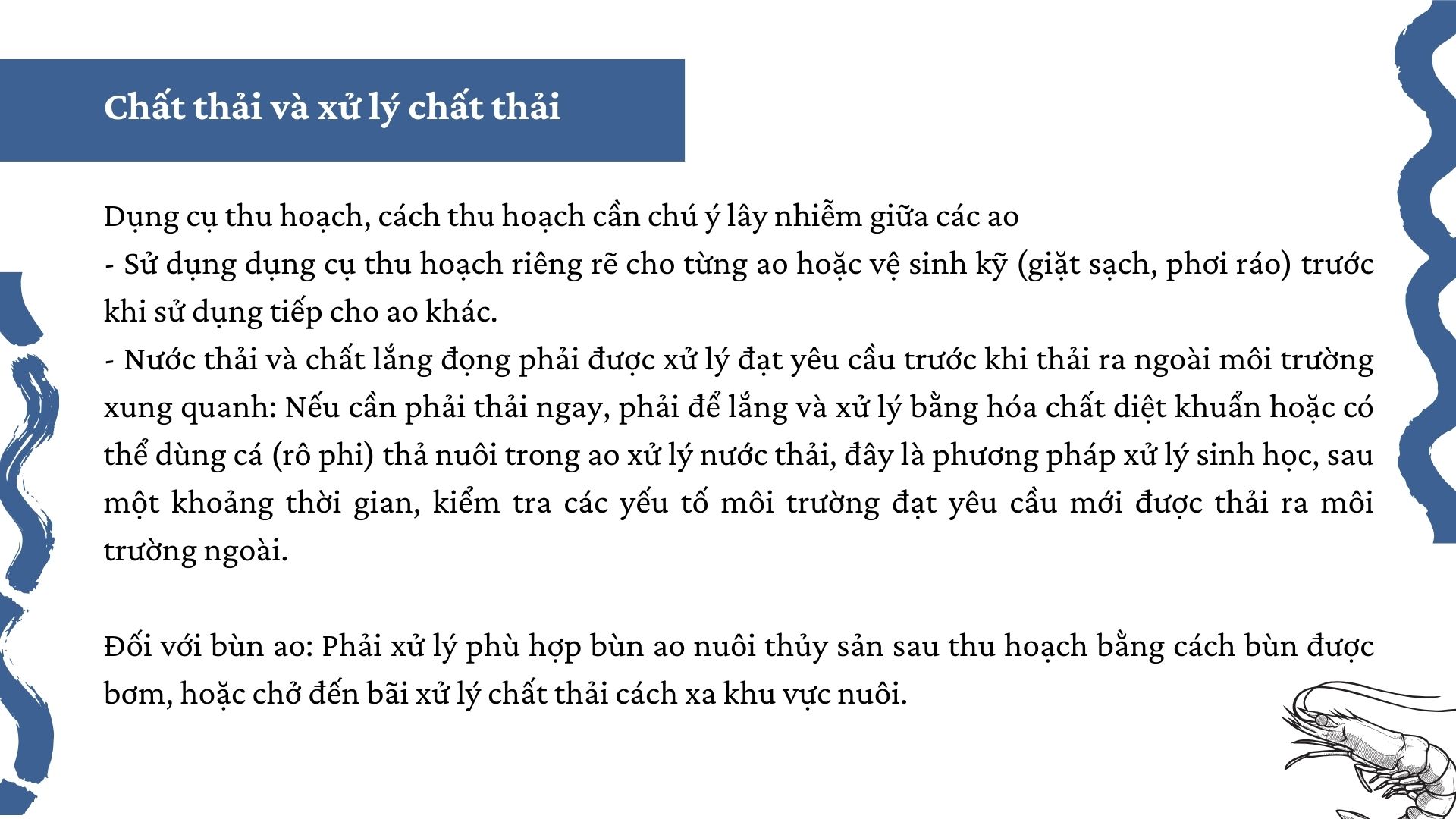 SỔ TAY NHÀ NÔNG: Mách bà con một số “mẹo” phòng bệnh cho tôm thẻ chân trắng - Ảnh 6.