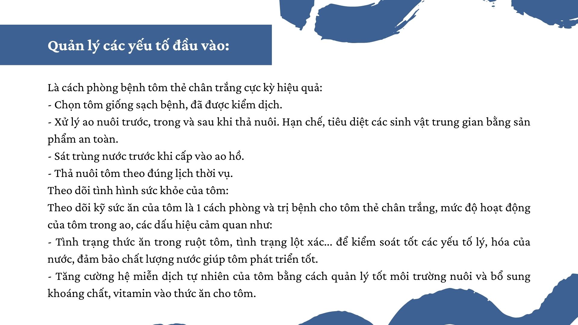 SỔ TAY NHÀ NÔNG: Mách bà con một số “mẹo” phòng bệnh cho tôm thẻ chân trắng - Ảnh 2.