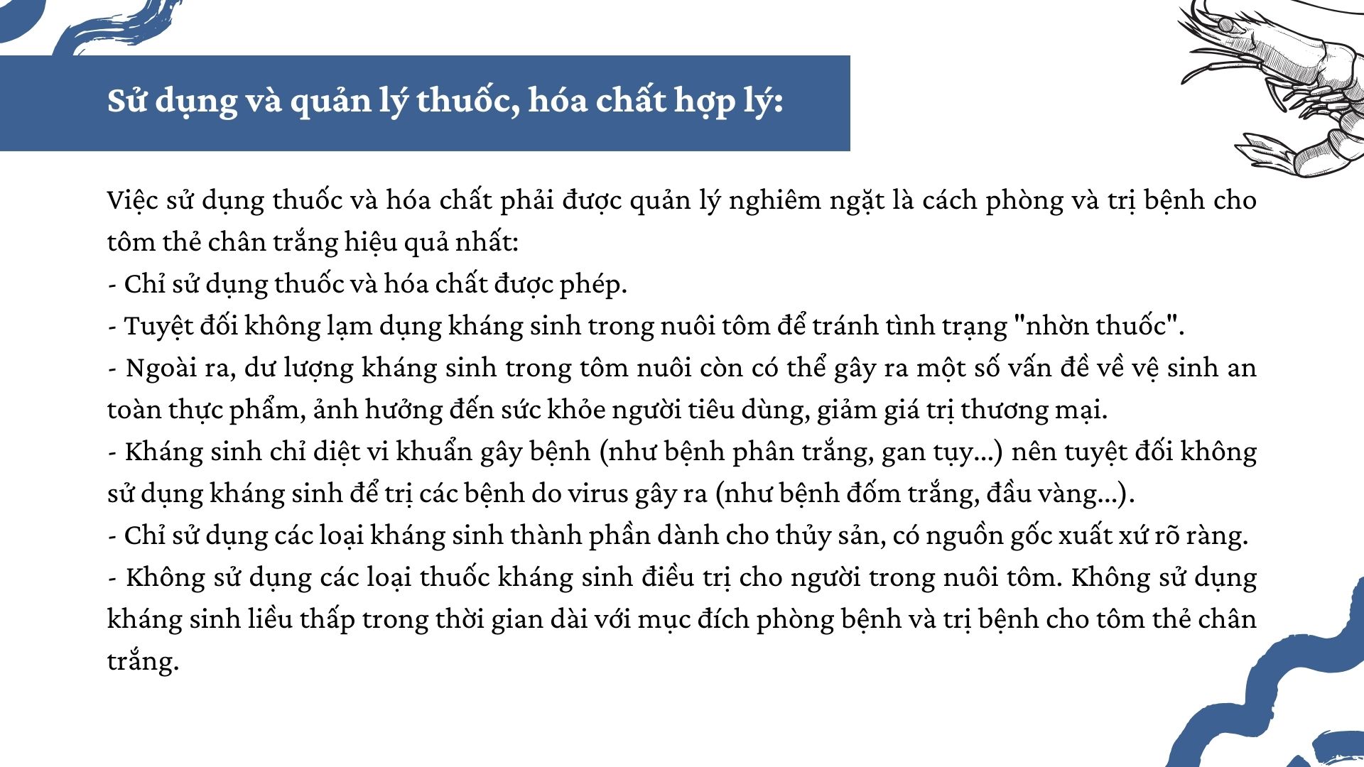 SỔ TAY NHÀ NÔNG: Mách bà con một số “mẹo” phòng bệnh cho tôm thẻ chân trắng - Ảnh 4.