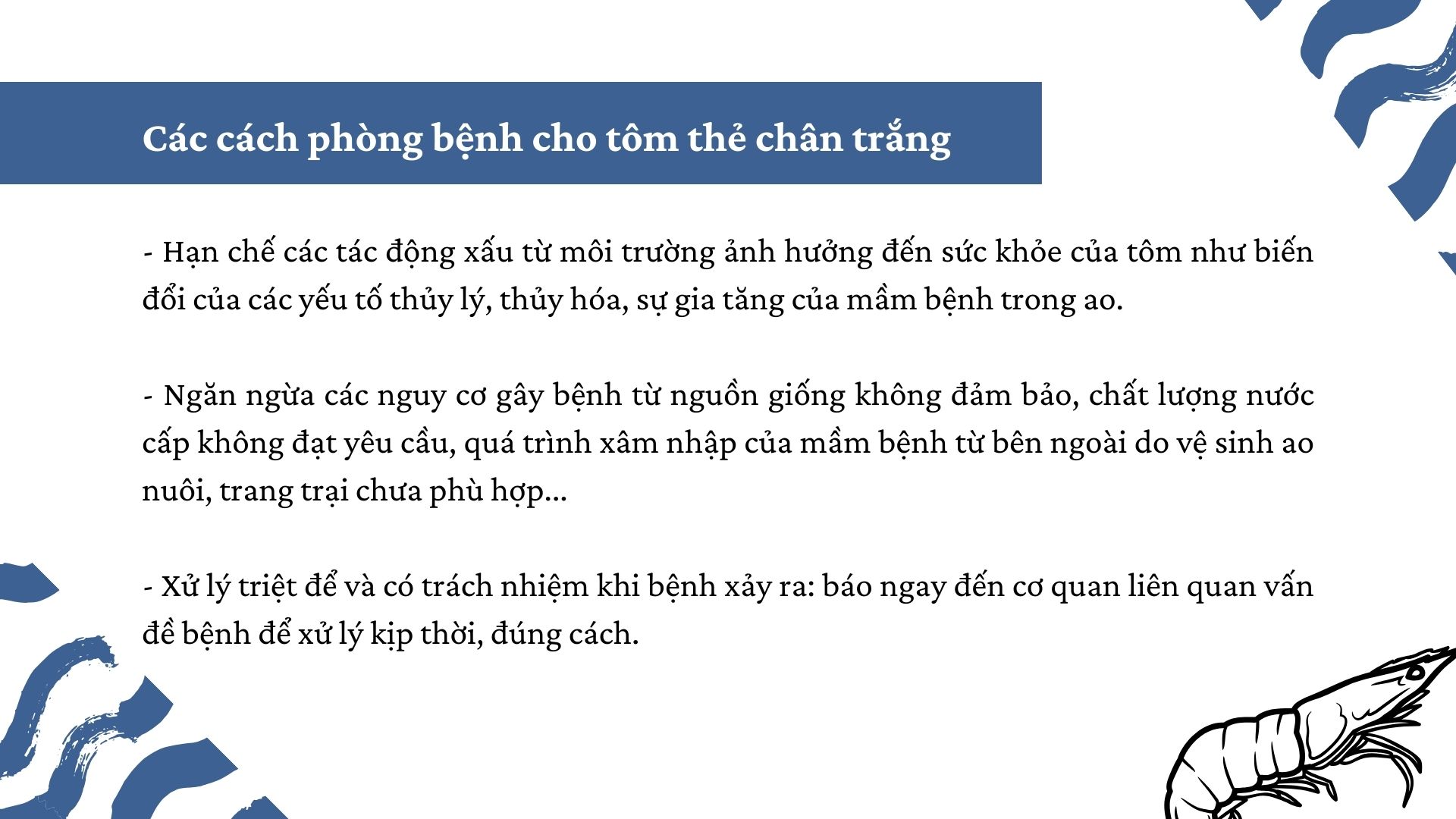 SỔ TAY NHÀ NÔNG: Mách bà con một số “mẹo” phòng bệnh cho tôm thẻ chân trắng - Ảnh 5.