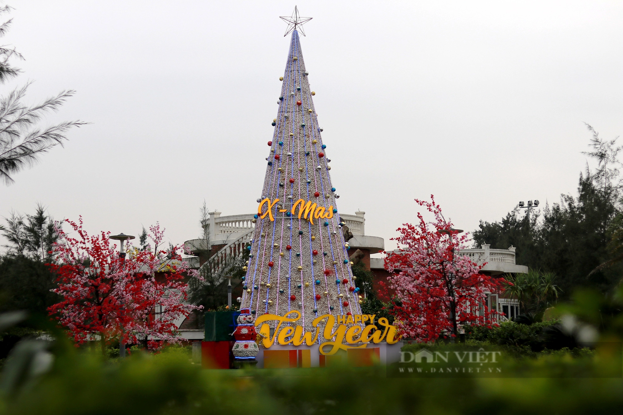 Cây thông Noel ở Hà Tĩnh được trang trí từ 100.000 vỏ sò khiến nhiều người thích thú- Ảnh 1.
