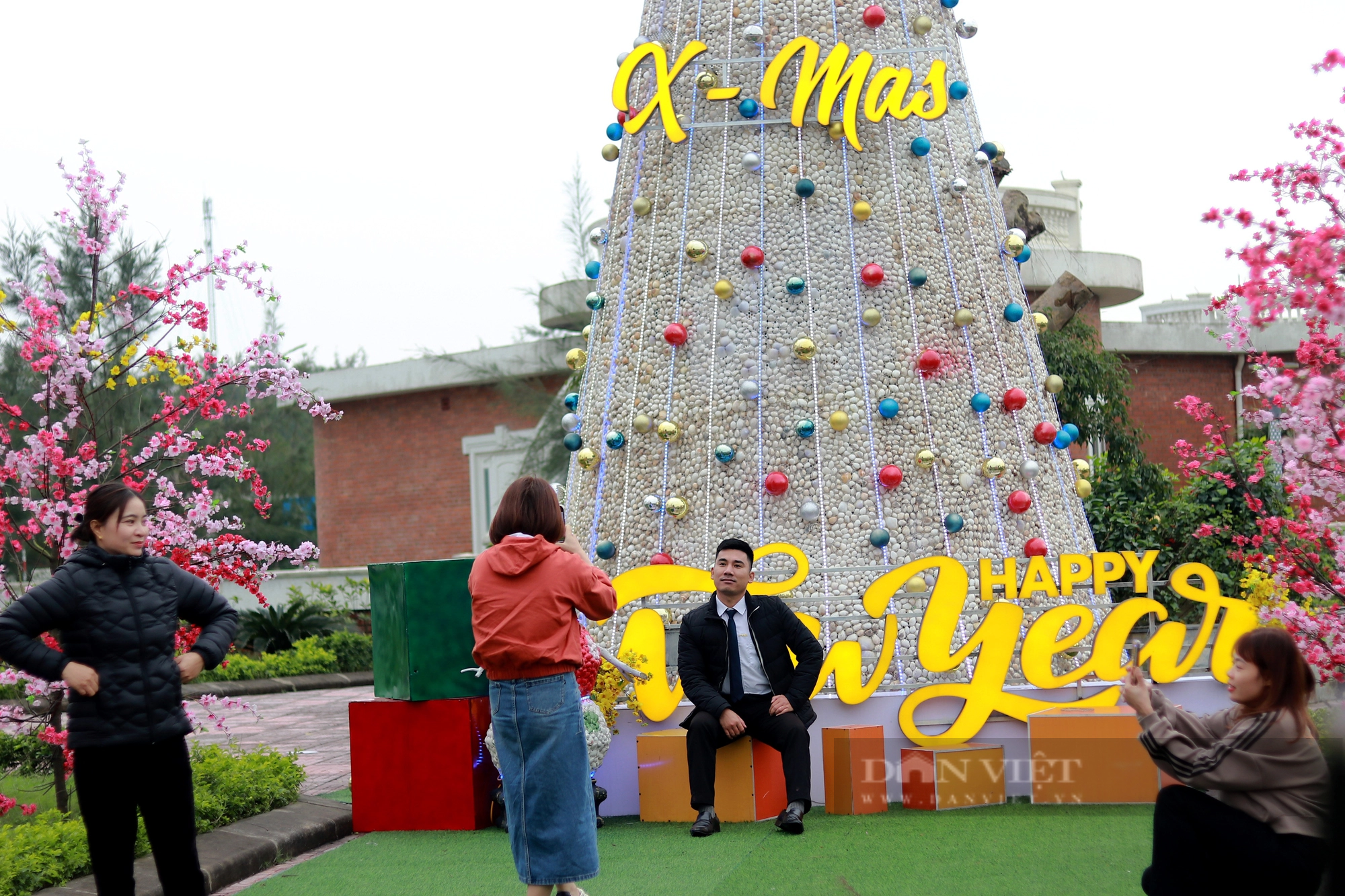 Cây thông Noel ở Hà Tĩnh được trang trí từ 100.000 vỏ sò khiến nhiều người thích thú- Ảnh 2.
