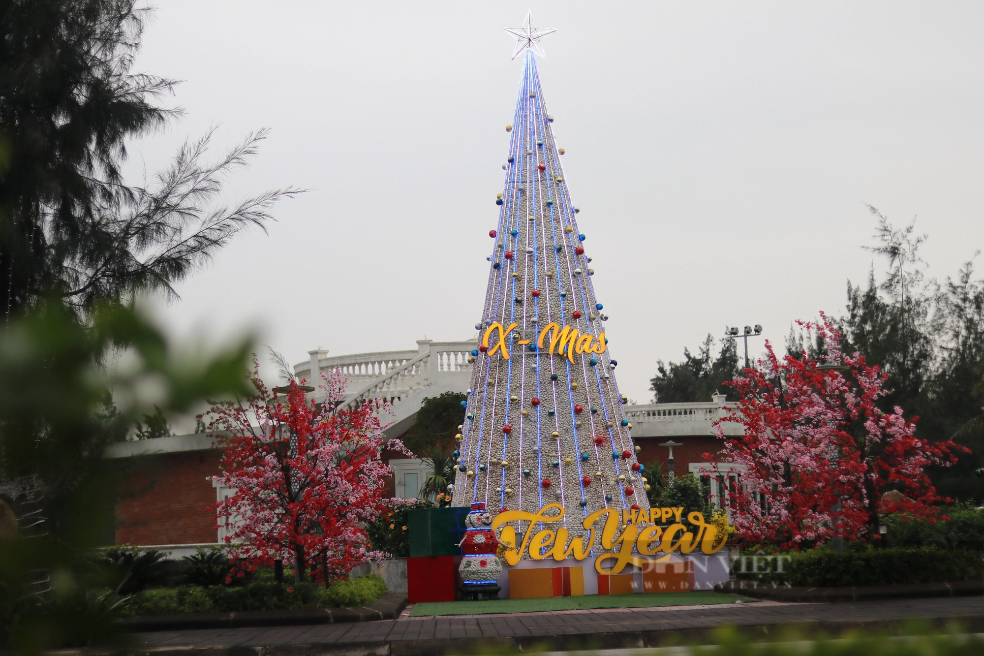 Cây thông Noel ở Hà Tĩnh được trang trí từ 100.000 vỏ sò khiến nhiều người thích thú- Ảnh 3.