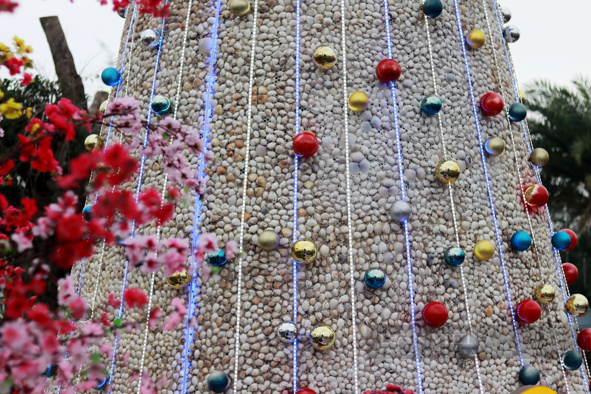 Cây thông Noel ở Hà Tĩnh được trang trí từ 100.000 vỏ sò khiến nhiều người thích thú- Ảnh 4.