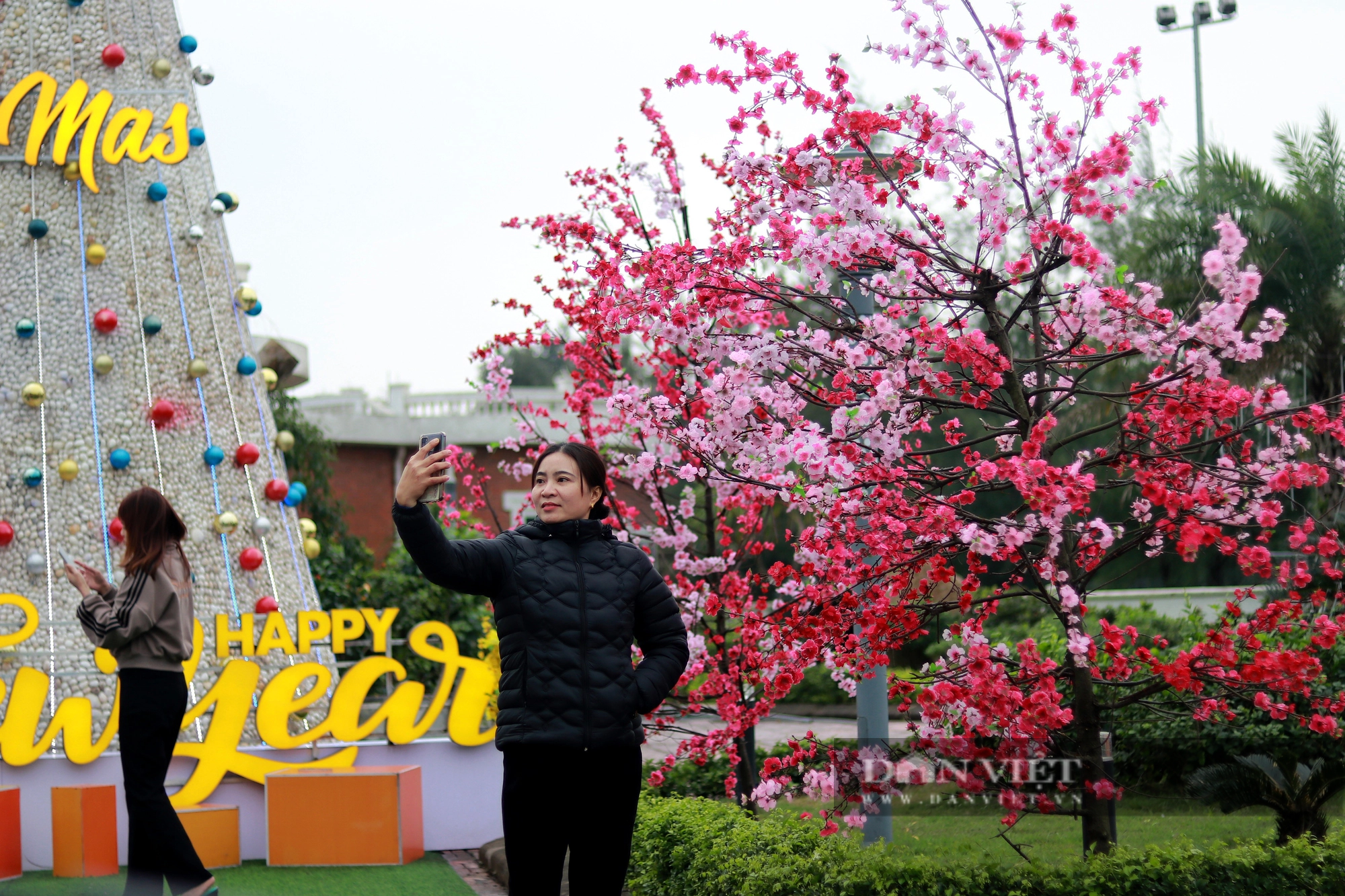 Cây thông Noel ở Hà Tĩnh được trang trí từ 100.000 vỏ sò khiến nhiều người thích thú- Ảnh 9.