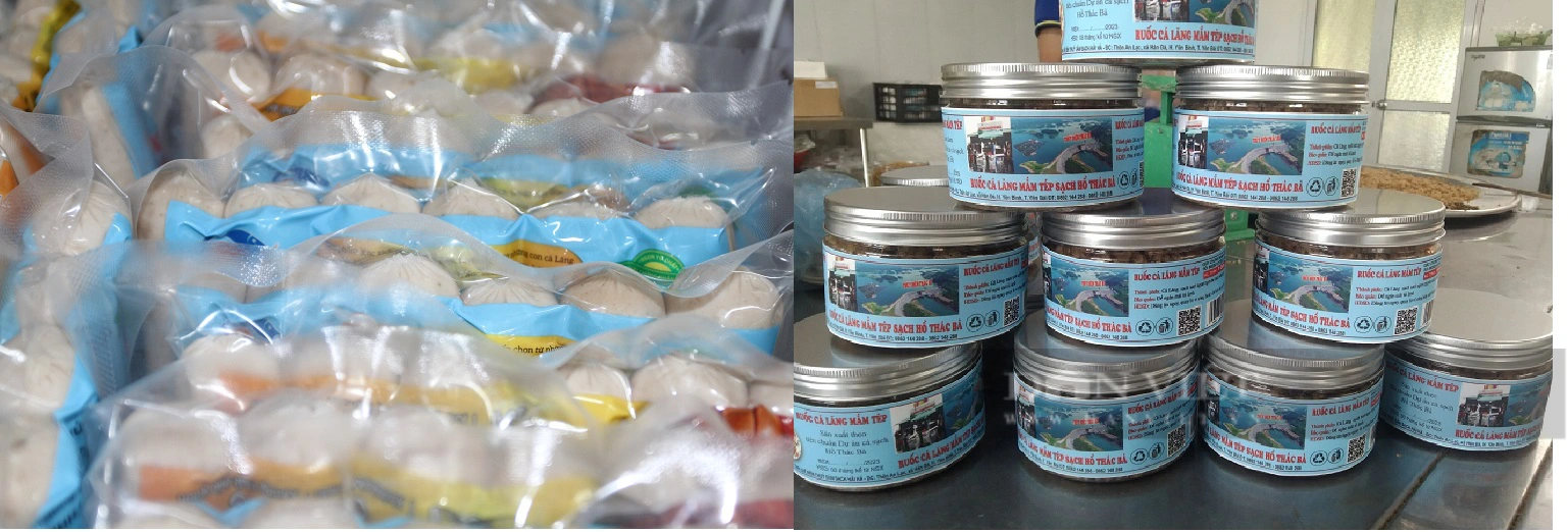 Một HTX ở Yên Bái có 4 sản phẩm đạt OCOP được chế biến từ loại cá đặc sản Hồ Thác Bà- Ảnh 3.