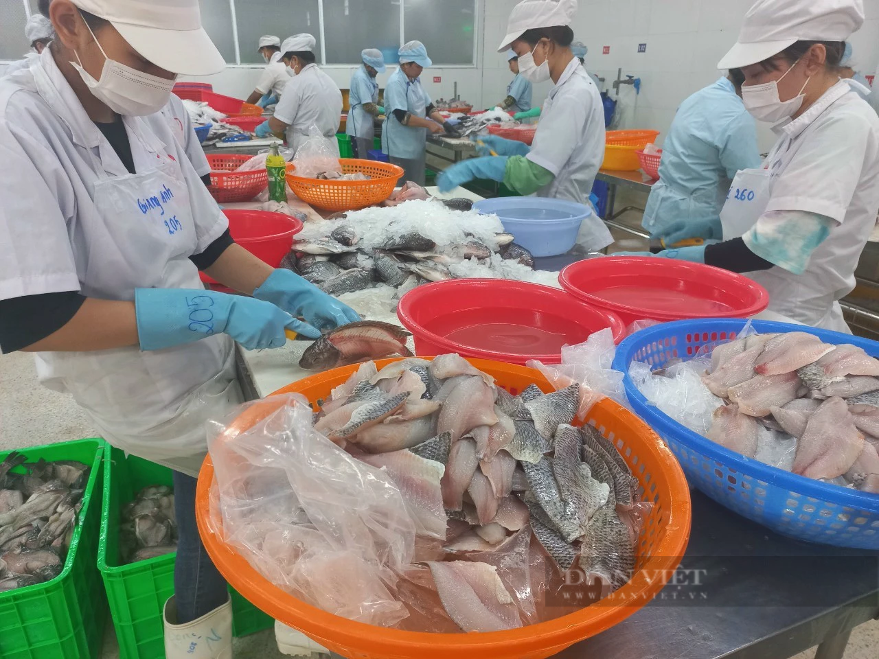 Xuất khẩu surimi và bột cá rộng cửa, hướng tới kim ngạch 1 tỉ USD - Ảnh 1.
