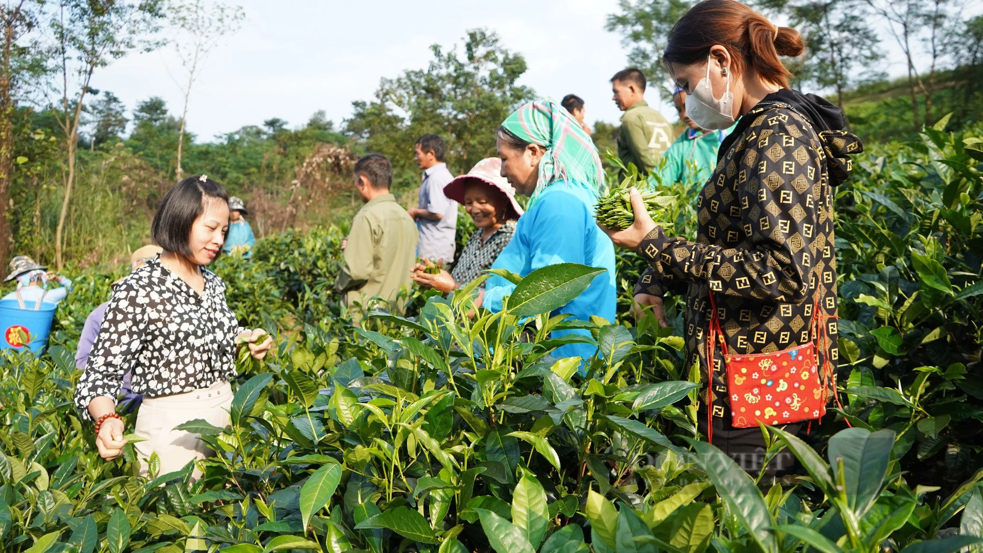 Đào tạo nghề lao động nông thôn - "cán cân" giúp người dân ở Lào Cai nâng cao thu nhập- Ảnh 3.