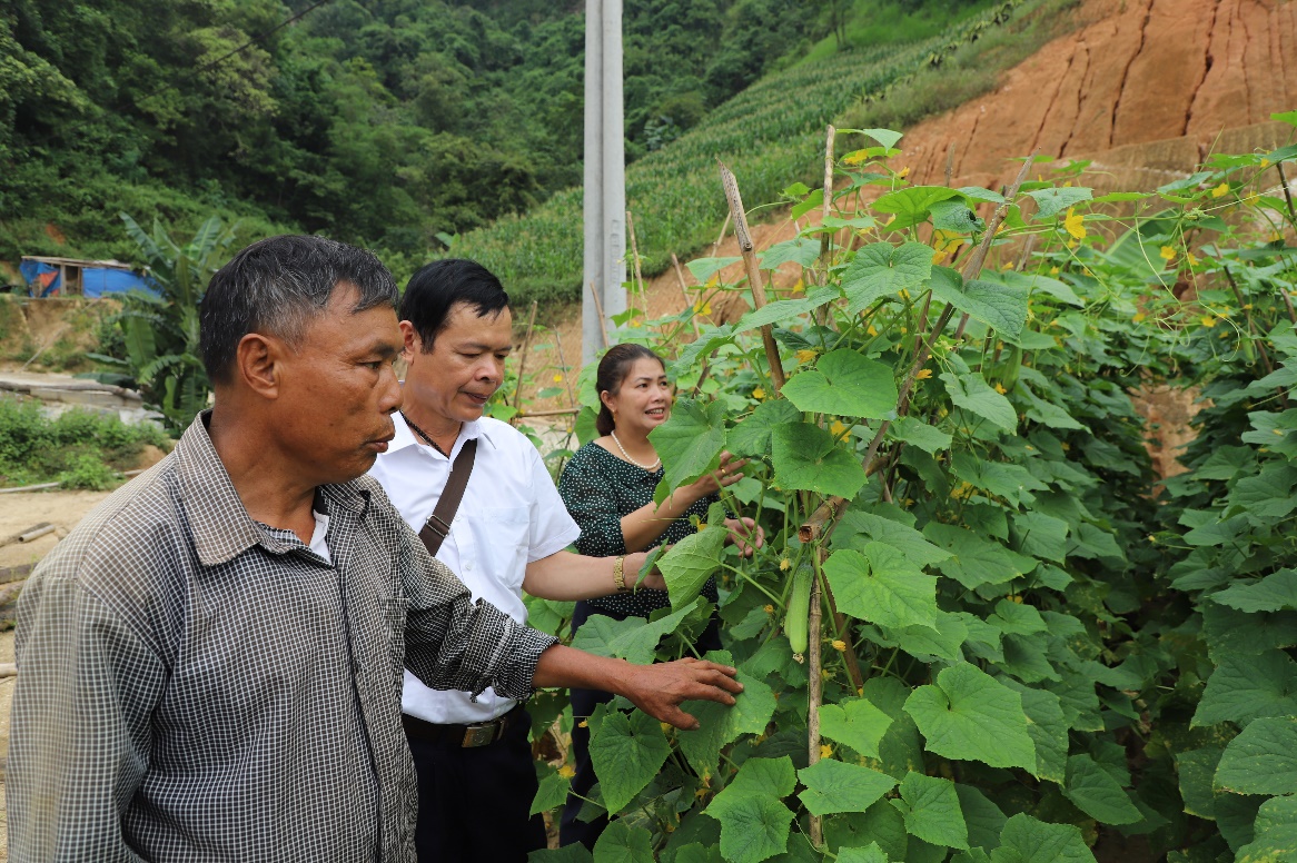 Hoàng Su Phì (Hà Giang): Để nông dân thực sự là chủ thể xây dựng nông thôn mới- Ảnh 1.