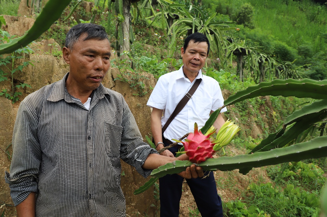 Hoàng Su Phì (Hà Giang): Để nông dân thực sự là chủ thể xây dựng nông thôn mới- Ảnh 3.